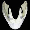 Frontal APRILIA RSV4 2025-2026