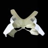 Frontal APRILIA RSV4 2025-2026