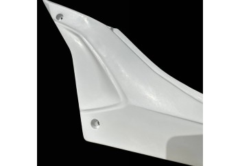 Lateral izquierdo de colín Aprilia RSV4 2025-2026