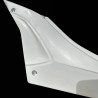 Lateral izquierdo de colín Aprilia RSV4 2025-2026