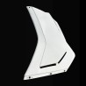 Lateral Izquierdo Aprilia RSV4 2025-2026