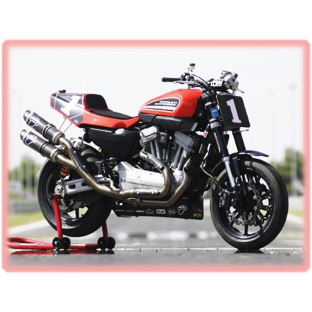 Harley Davidson XR 1200 BBQ series Kit "EVO"