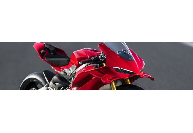 Panigale V4 / V4S 2025